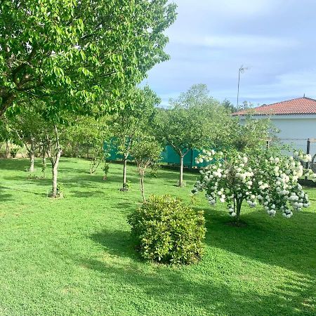 A Casa Vermella Con Jardin A 10 Minutos De Santiago De Compostela Appartement Ortono Buitenkant foto