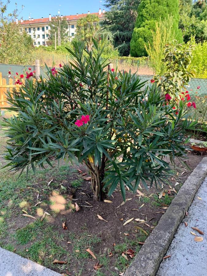 A Casa Vermella Con Jardin A 10 Minutos De Santiago De Compostela Appartement Ortono Buitenkant foto
