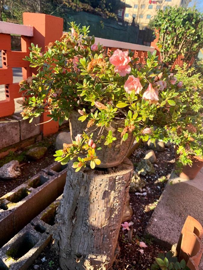 A Casa Vermella Con Jardin A 10 Minutos De Santiago De Compostela Appartement Ortono Buitenkant foto